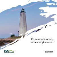 1566682331-evs