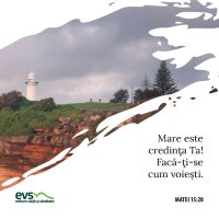 1566682428-evs