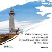 1566682647-evs