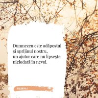 1574506764-evs