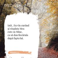 1574506877-evs