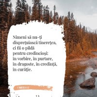 1574506984-evs