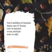 1574507269-evs