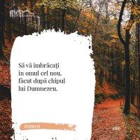 1574507340-evs