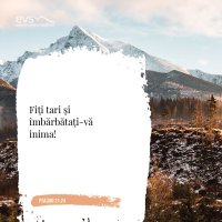 1574507457-evs