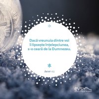 1576048761-evs
