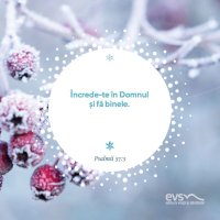 1576049156-evs