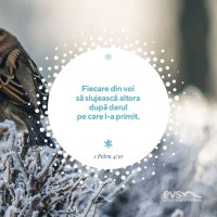 1576049212-evs