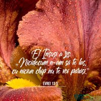 1591559580-evs