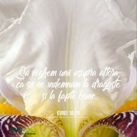 1591559738-evs