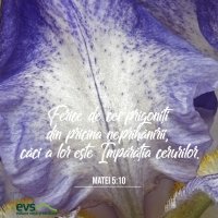 1591559834-evs