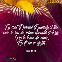 1591559940-evs
