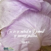 1591560039-evs