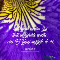 1591560089-evs