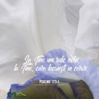 1591560250-evs
