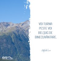 1592511617-evs