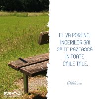 1592511661-evs