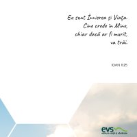 1595445013-evs